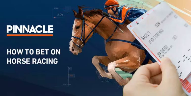 Gallop with Reddy Anna into the horse racing